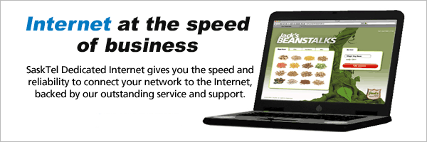 Internet at the speed of business.  SaskTel dedicated internet gives you the speed and reliability to connect your network to the internet, backed by our outstanding service and support.
