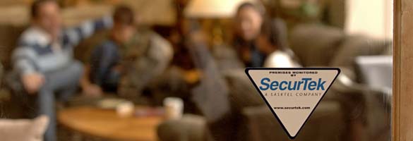 SecurTek