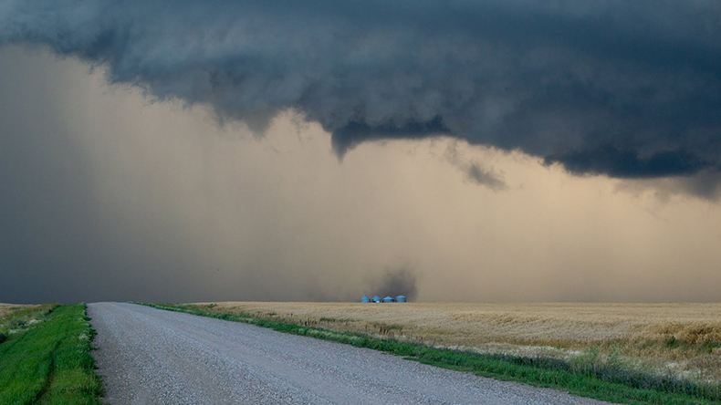 Storm Storm