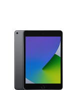 iPad mini (5th generation)