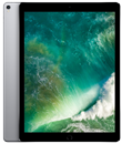 iPad Pro 12.9-in. (2nd generation)
