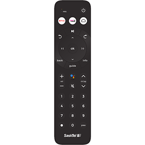 maxTV Stream Remote image