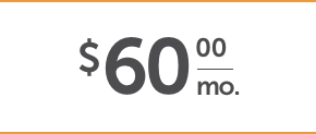 $60