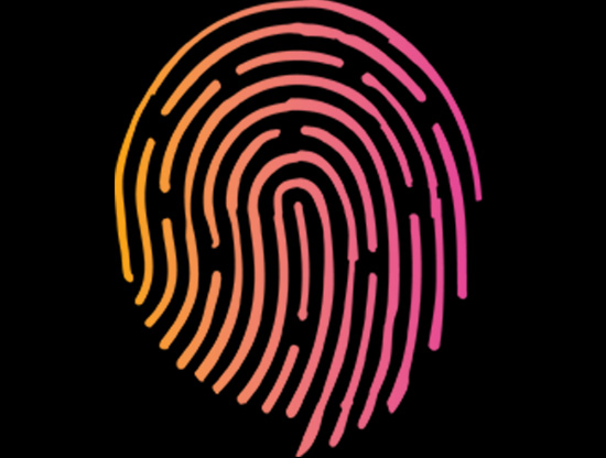 Digital fingerprint
