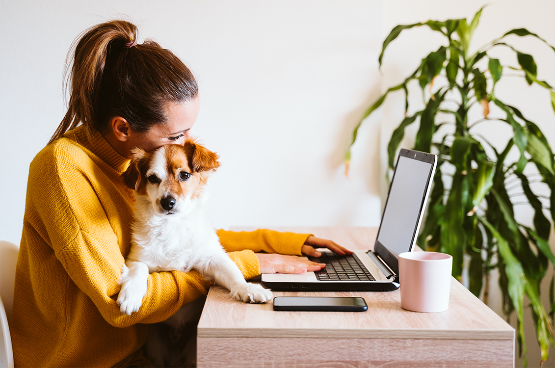 Woman working at home with dog on lap