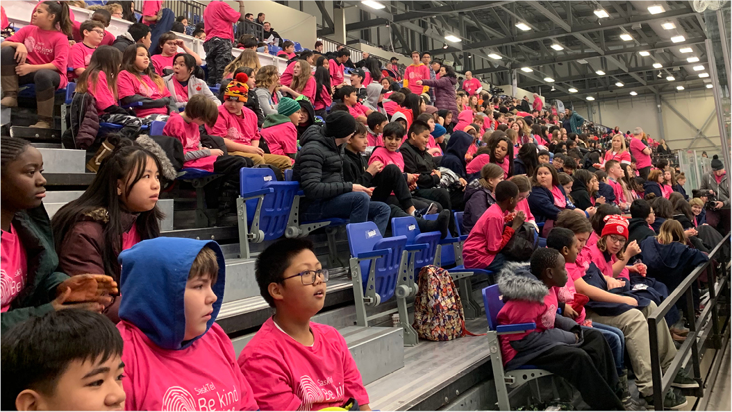 Pink and White Game Crowd