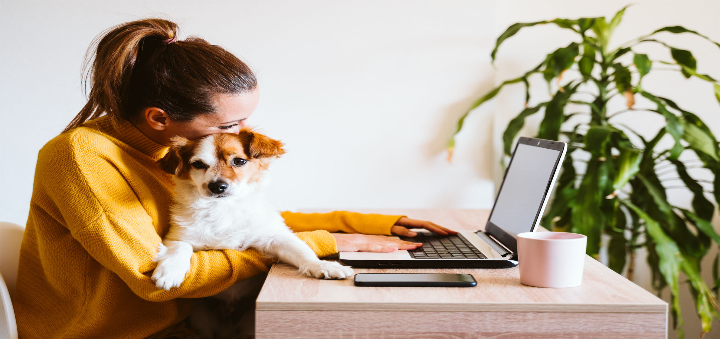 woman working at home with dog on lap