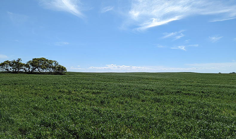 Saskatchewan Smart Farm